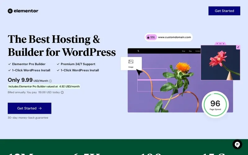WP Image